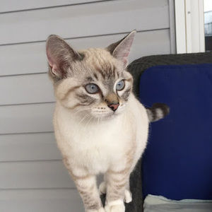 Meet your Posher, Madison